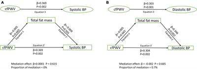 Mediating role of body composition and insulin resistance on the association of arterial stiffness with blood pressure among adolescents: The ALSPAC study